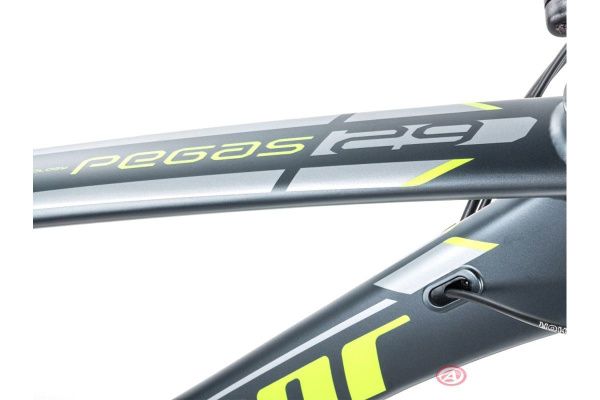 Велосипед AUTHOR Pegas 29 (2023)